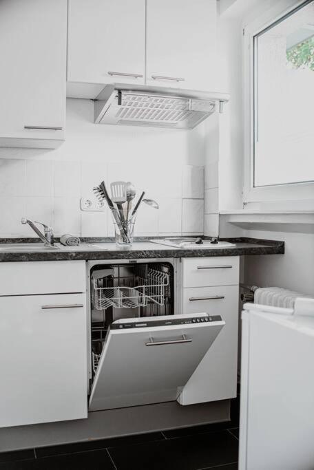 Wiesbaden - Apartment Im Nerotal 外观 照片